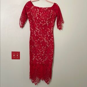 Fervente Red Lace sheath Dress 40